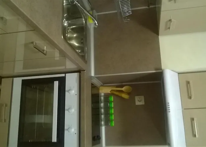 Zhelezovi Apartament