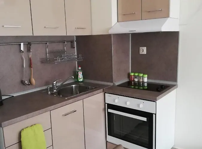 Zhelezovi Apartament *